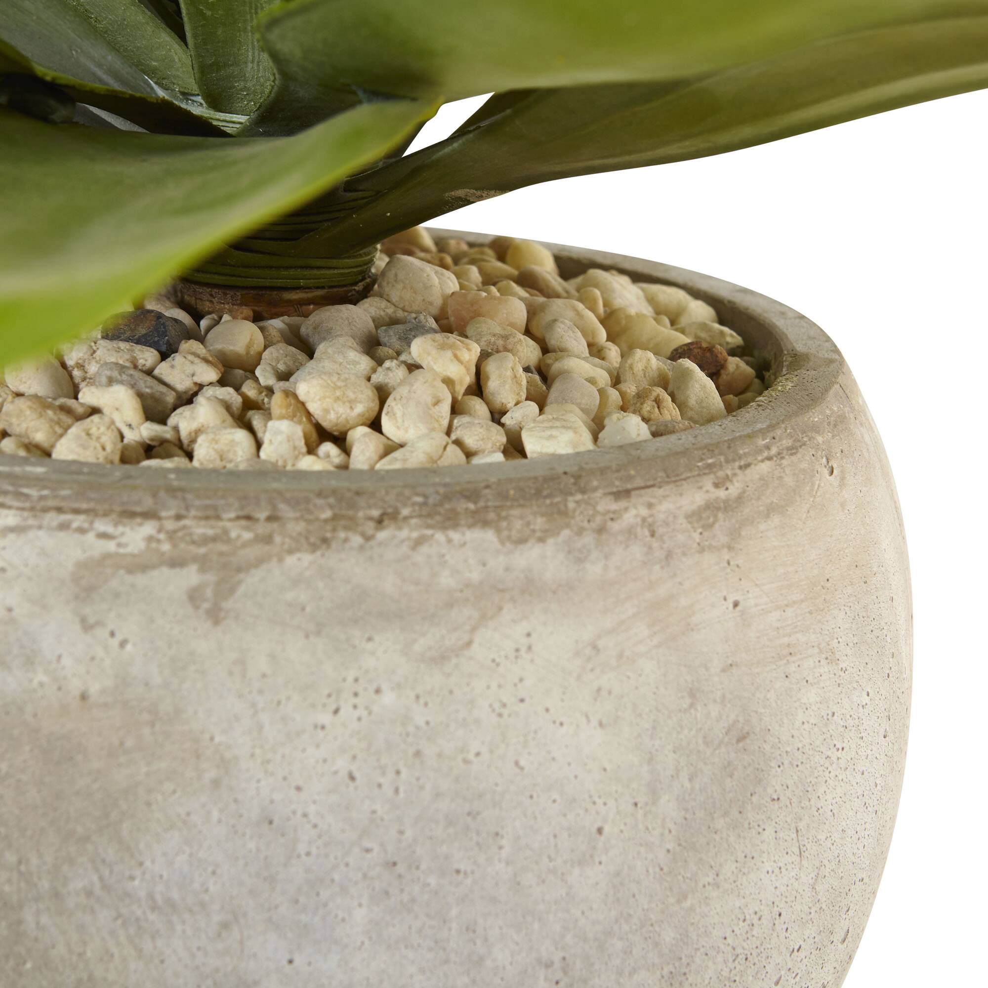 24" Agave Plant in Sand Planter